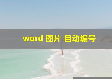 word 图片 自动编号